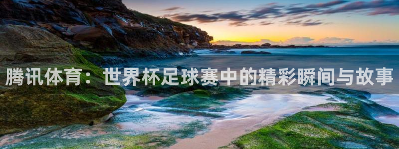 新宝5测速登录：腾讯体育：世界杯足球赛中的精彩瞬间与故事
