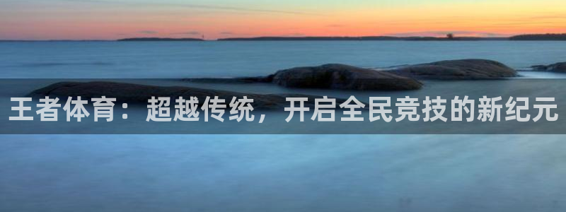 新宝5测速登陆：王者体育：超越传统，开启全民竞技的新纪元