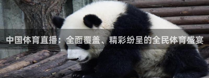 新宝5测速注册：中国体育直播：全面覆盖、精彩纷呈的全民体育盛宴