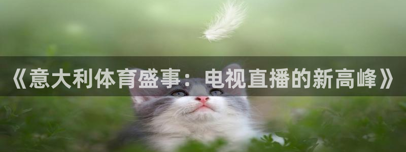 新宝5注册地址：《意大利体育盛事：电视直播的新高峰》