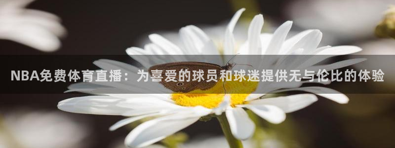 新宝5客户端登录：NBA免费体育直播：为喜爱的球员和球迷提供无与伦比的体验
