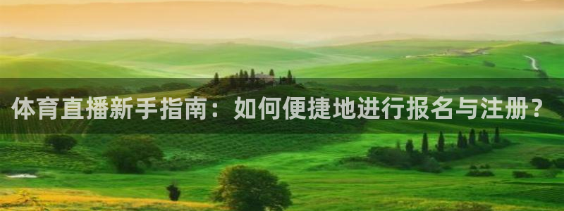 新宝5平台：体育直播新手指南：如何便捷地进行报名与注册？