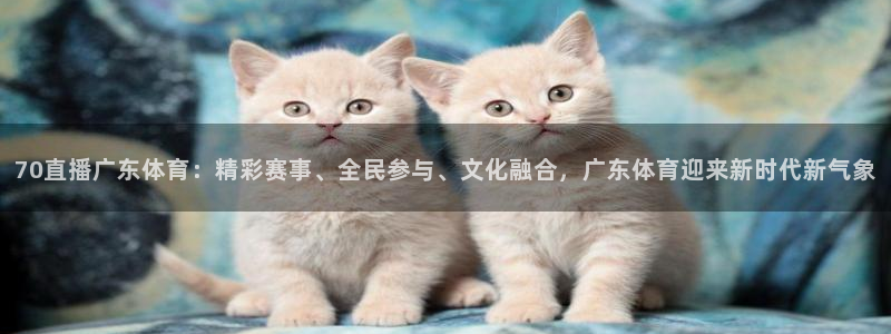 新宝5注册登录地址：70直播广东体育：精彩赛事、全民参与、文化融合，广东体育迎来新时代新气象