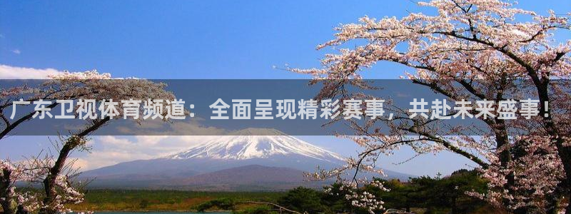 新宝5客户端登录：广东卫视体育频道：全面呈现精彩赛事，共赴未来盛事！
