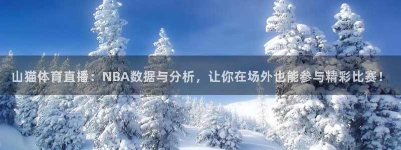 新宝5平台登录：山猫体育直播：NBA数据与分析，让你在场外也能参与精彩比赛！