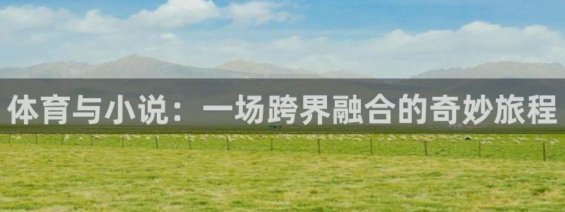 新宝5登录手机版：体育与小说：一场跨界融合的奇妙旅程