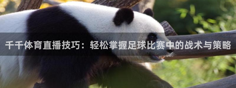 新宝5测速登陆：千千体育直播技巧：轻松掌握足球比赛中的战术与策略