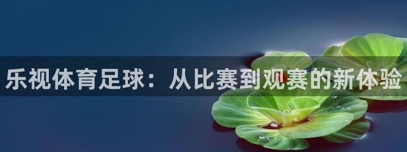 新宝5平台靠谱吗：乐视体育足球：从比赛到观赛的新体验